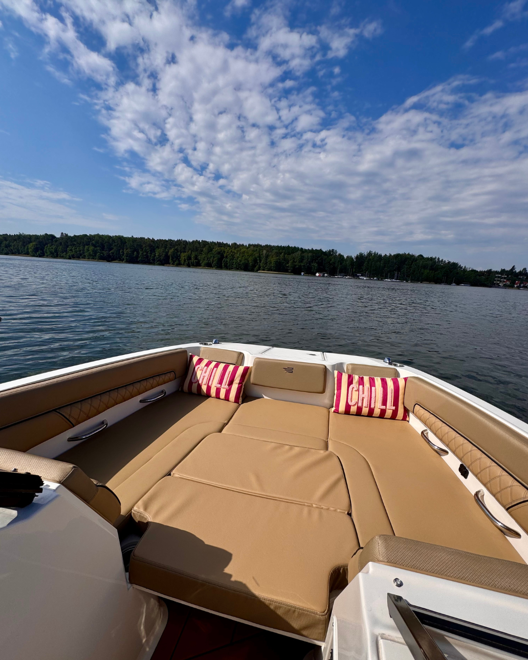 bayliner DX2200